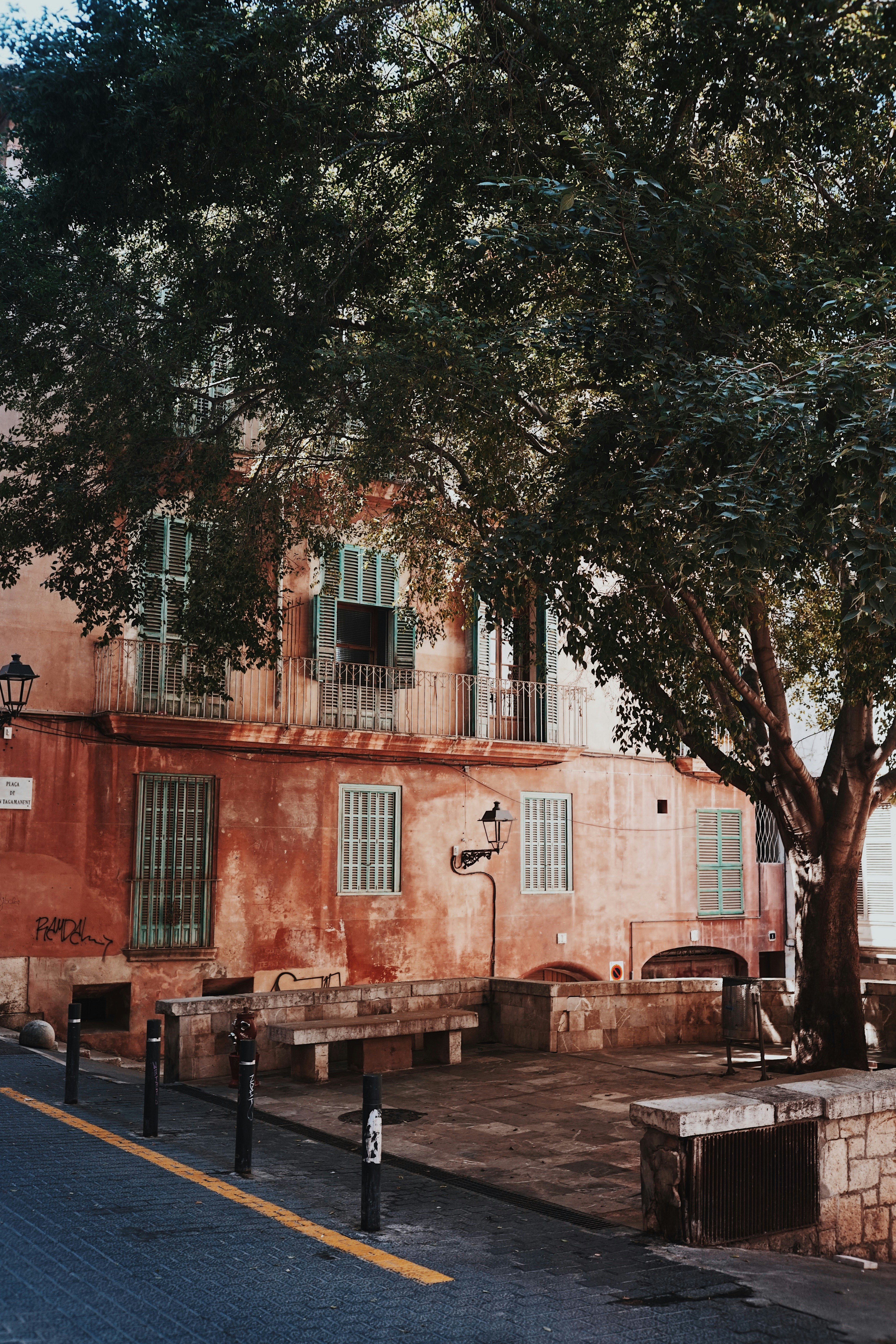 brown concrete building near tree